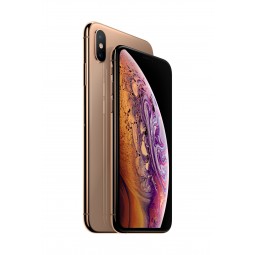 IPHONE XS 256GB GOLD (CONSIGLIATO) GARANZIA APPLE
