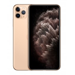 iPhone 11 Pro Max 64gb Gold (CONSIGLIATO) GARANZIA APPLE