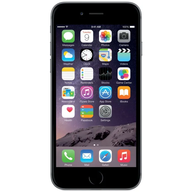 6 16GB SPACE GRAY (CONSIGLIATO)