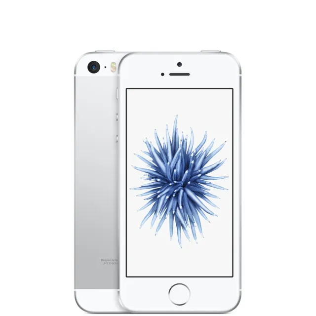 SE 16GB SILVER (CONSIGLIATO)