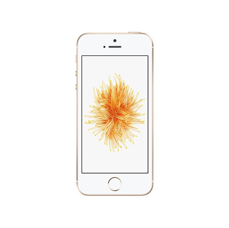 iPhone SE 32Gb Gold