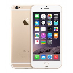 6 32GB GOLD (CONSIGLIATO)
