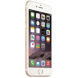 6 32GB GOLD (CONSIGLIATO)