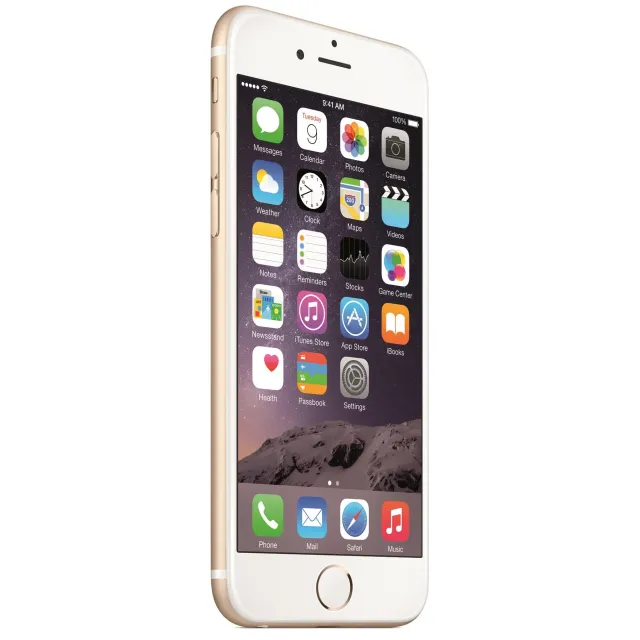6 32GB GOLD (CONSIGLIATO)