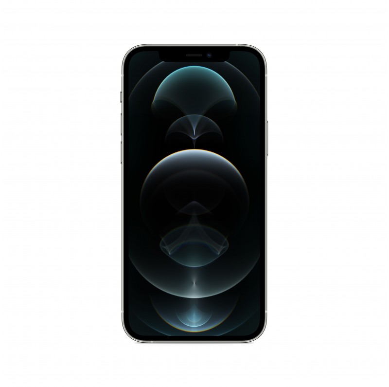iPhone 12 Pro 256Gb Argento