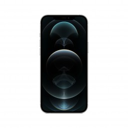 iPhone 12 Pro Max 256Gb Argento
