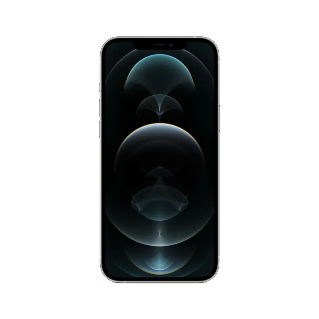 iPhone 12 Pro Max 256Gb Argento