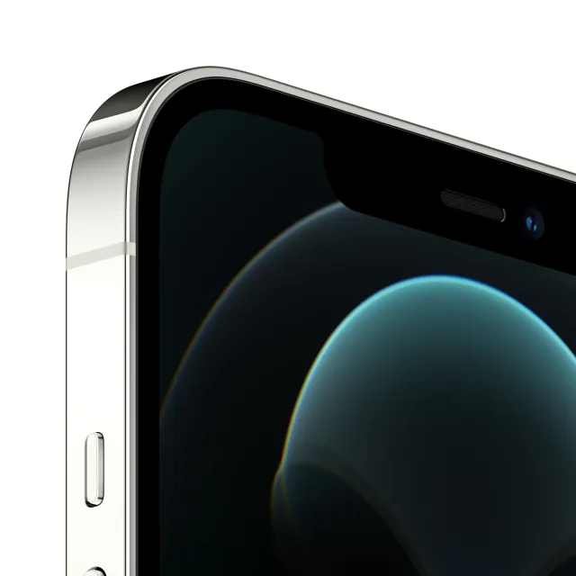 iPhone 12 Pro Max 256Gb Argento