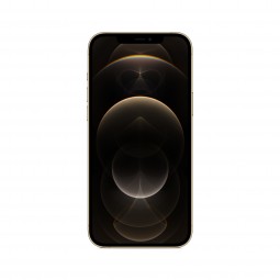 iPhone 12 Pro Max 256Gb Oro