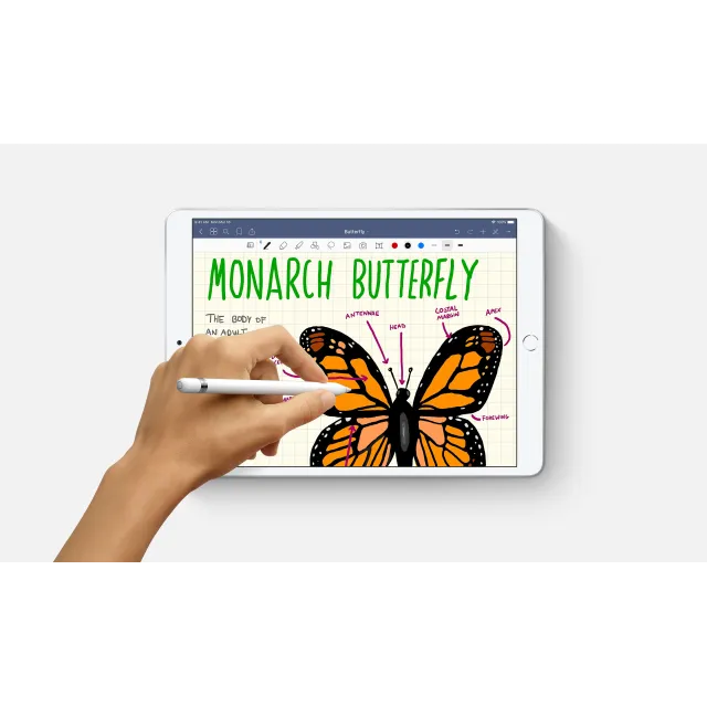 iPad Air 3 256gb Silver WiFi Cellular