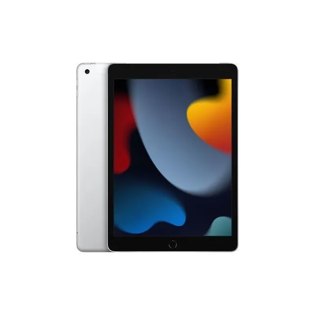 iPad 9th Gen 2021 256gb Argento WiFi Cellular