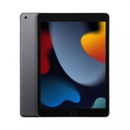 iPad 9th Gen 2021 256gb Grigio Siderale WiFi