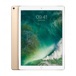 copy of iPad Pro 2 12.9'' 256gb Gold WiFi