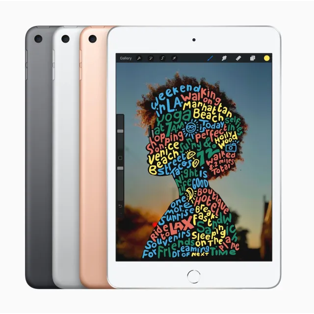 iPad mini 5 256gb Gold WiFi Cellular